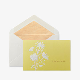Thank You Daisy 10 Card Set