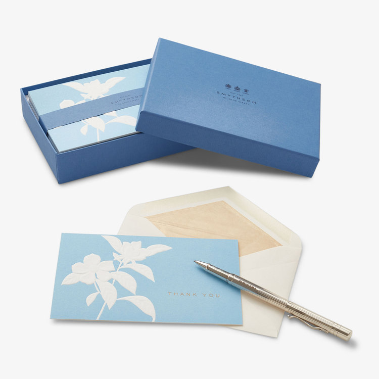 Smythson Thank You Blind Embroidery Floral 10 Card Set WHITE WOVE