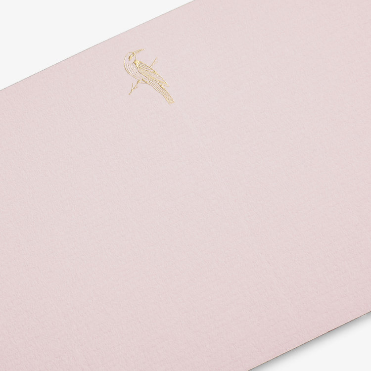 Iconic Birds Of Paradise 10 Card Set