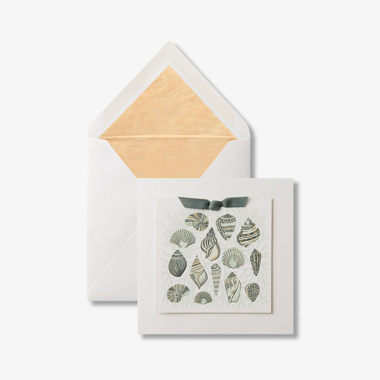 Greeting Sea Shells Card