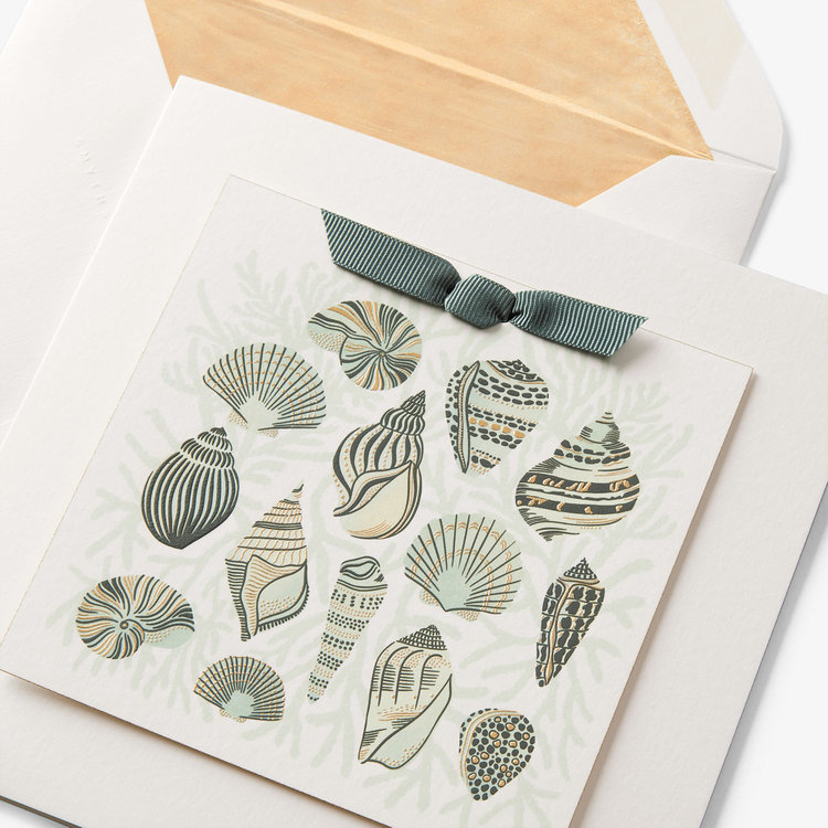 Greeting Sea Shells Card