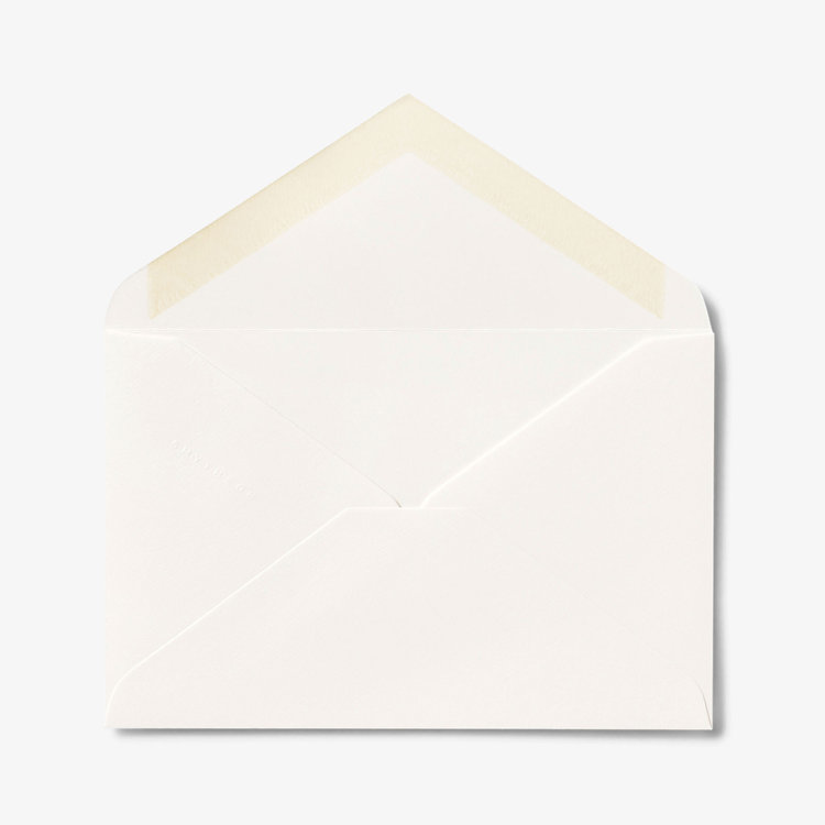 Plain Kings Envelopes X25